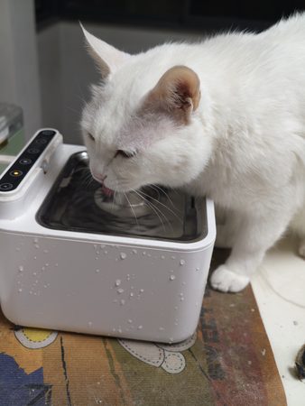 13一家早餐